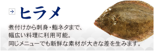 ヒラメ　煮つけから刺身・鮨ネタまで、幅広い料理に利用可能。同じメニューでも新鮮な素材が大きな差を生みます。