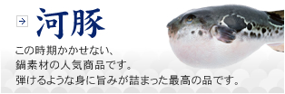 河豚　この時期かかせない、鍋素材の人気商品です。弾けるような身に旨みが詰まった最高の品です。