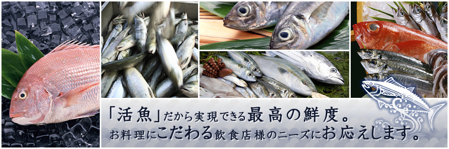 「活魚」だから実現できる最高の鮮度。お料理にこだわる飲食店様のニーズにお応えします。