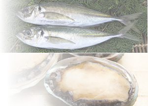 活魚品
